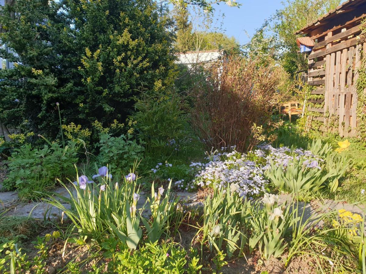 Unser Obervolkacher Ferienhaus-Einfach Gemuetlich! Volkach Exterior photo